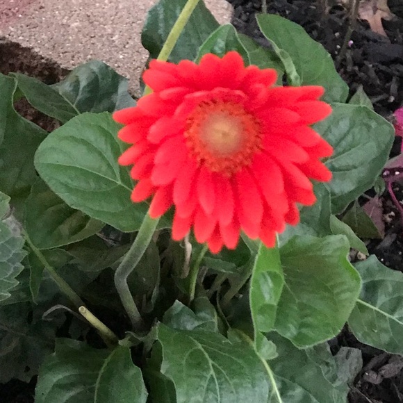 🔮🔮 #3 Follow game please help me get to 200 K - Picture 4 of 8